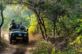 Jeep Safari